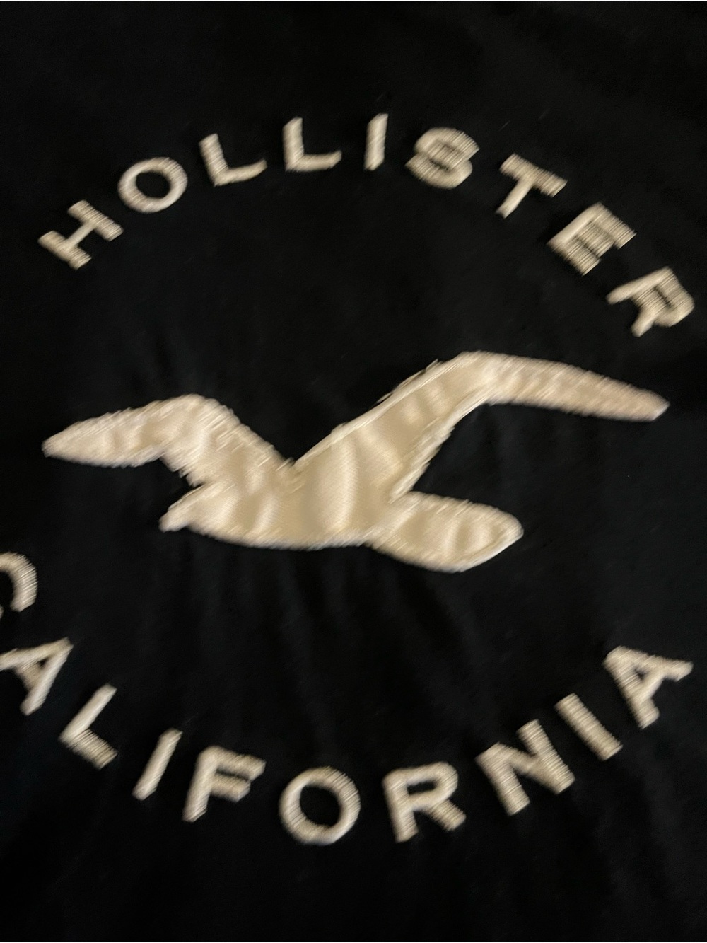 Hollister Black Sweatshirt with Cream Embroidered Seagull Logo
